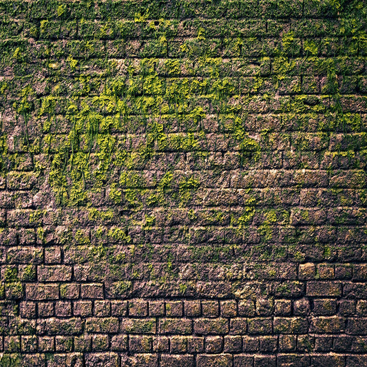 Dark Brick Wall Moss Plant Photography Backdrops for Portrait