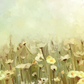 Vintage Oil Painting Daisy-chamomile Flowers Field at Sunrise Background Photo Backdrop SBH0025