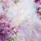 Abstract Watercolor Painting Pink Apricot Flower Soft Colorful Photo Backdrop SBH0027