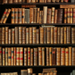 Old Books on Wooden Bookshelf Backdrop Photography Props SBH0107