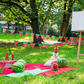 Watermelon Party Picnic for Children in Park Background Backdrop for Photo SBH0120
