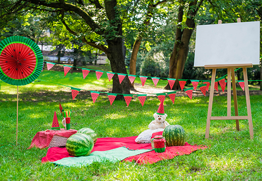 Watermelon Party Picnic for Children in Park Background Backdrop for Photo SBH0120