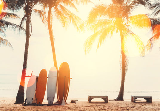 Summer Vacation Surfboard and Palm Tree on Beach Double Exposure with Colorful Bokeh Backdrop SBH0121