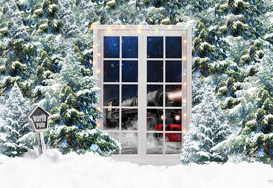 Pine trees and Door With Sparkles Christmas Backdrops for Photo Studio SBH0270