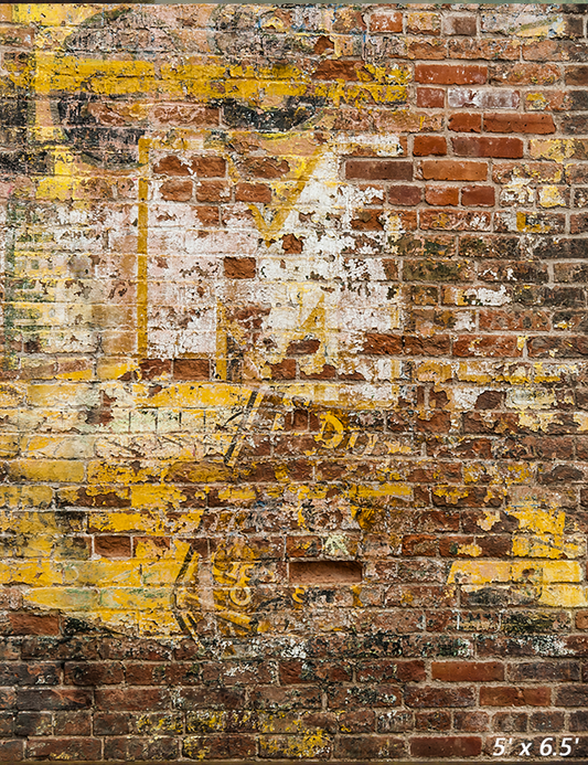 Faint Remnant Brick Wall Graffiti Photography Backdrop SBH0337