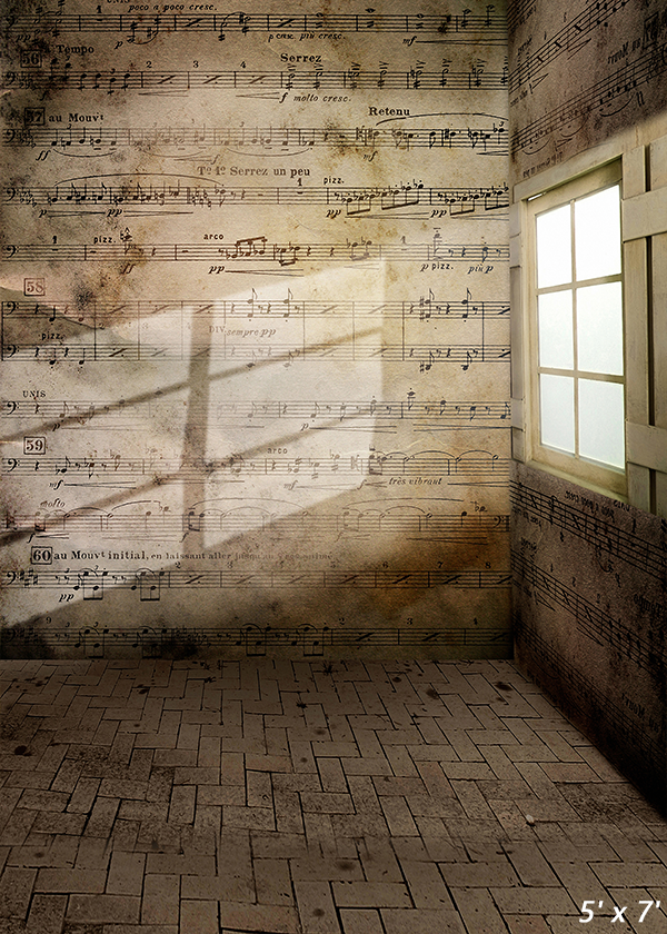 Interior Musical Notes Wall Photography Backdrop SBH0338