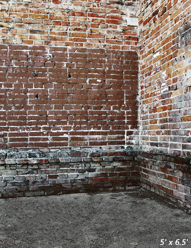 Old Dirty Brick Wall Backdrop for Photography SBH0347