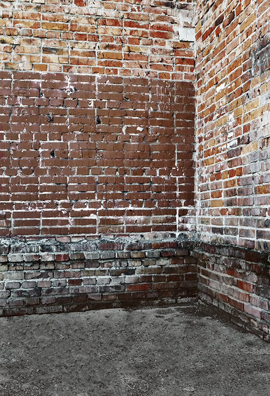 Old Dirty Brick Wall Backdrop for Photography SBH0347