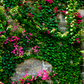 Stone House With Green Leaves Spring Photography Backdrop SBH0357