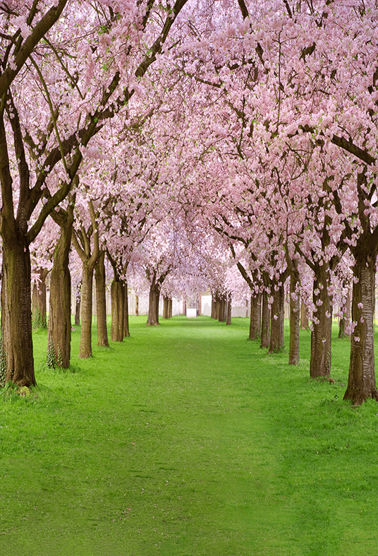 Spring Backdrops – Starbackdrop