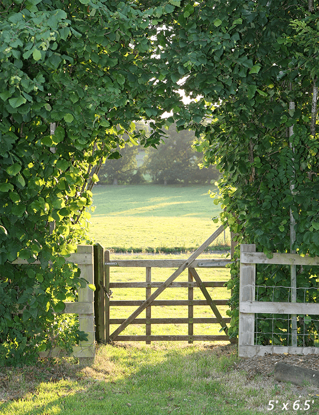 Green Garden Evening Sunlight Spring Backdrop SBH0359