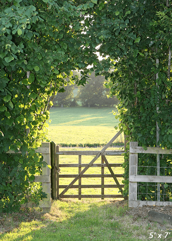 Green Garden Evening Sunlight Spring Backdrop SBH0359