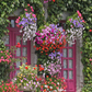 House With Flowers Backdrop for Spring Photography SBH0360