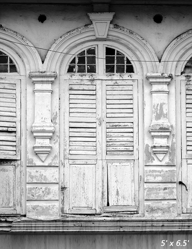 Old Ancient White Windows Photography Backdrop SBH0377