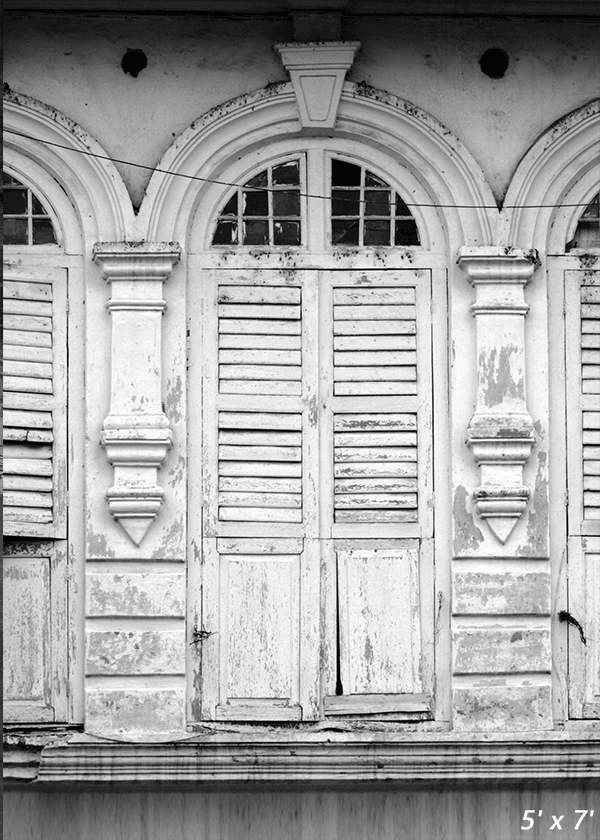 Old Ancient White Windows Photography Backdrop SBH0377