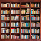 Bookshelf Filled With Books Photography Backdrop SBH0389