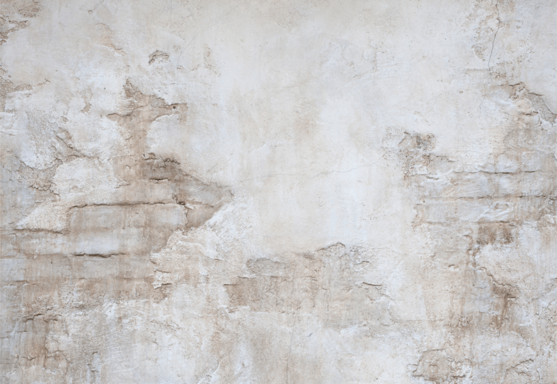 Antique Stone Wall Backdrop for Photography SBH0447