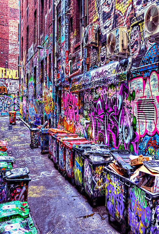 Urban Street Art Graffiti Backdrop for Photoshoot SBH0453
