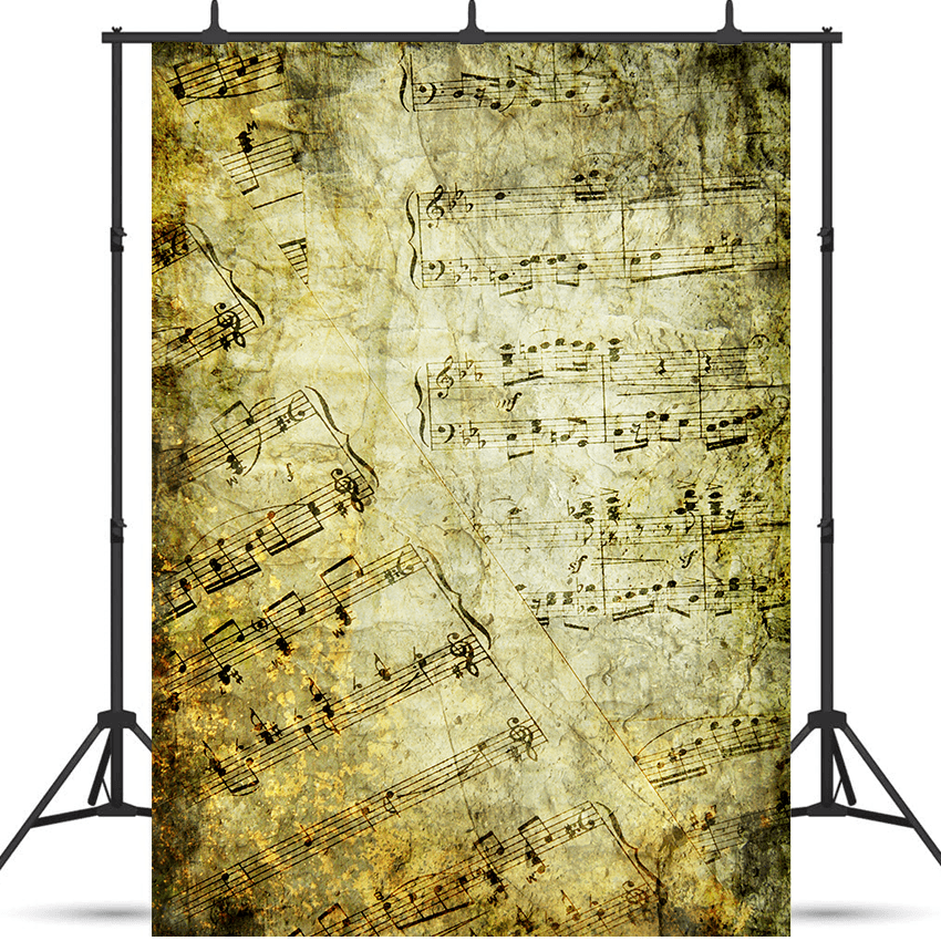 Grunge Musical Wall Background Backdrop for Photo SBH0462