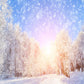 Snowflake Sunset Winter Photo Backdrop
