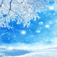 Snow Branches Blue Sky Winter Backdrop for Photography