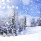 Snowflake Blue Sky Winter Backdrop