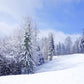 Winter Blue Sky Snow Backdrop