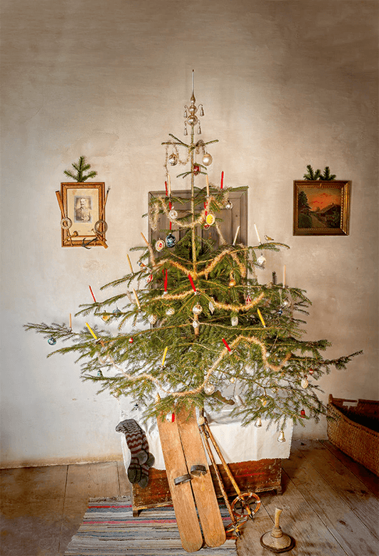 Wood Floor Christmas Photo Backdrops Photography