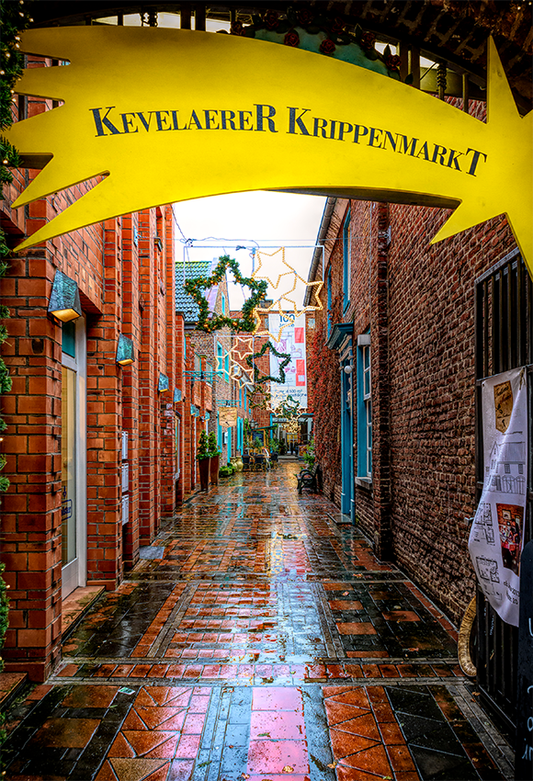 Street After Rain Christmas Photo Backdrops