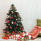 White Wall Carpet Green Sofa Christmas Tree Backdrop