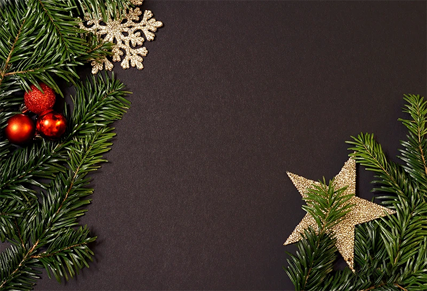 Pine Leaves Christmas Backdrop For Photography