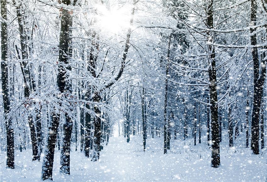 Winter Shiny Snow Photography Backdrops