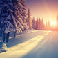 Winter Snow Forest Sunset Photography Backdrops