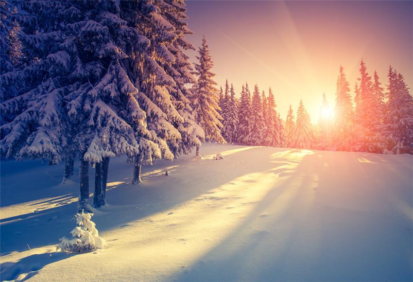 Winter Snow Forest Sunset Photography Backdrops