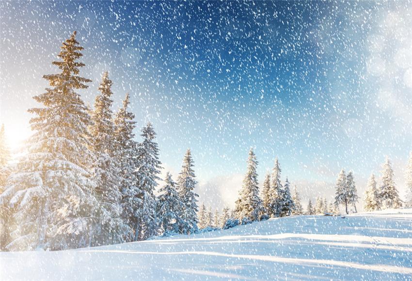 Snowflake Winter Photo Studio Backdrops