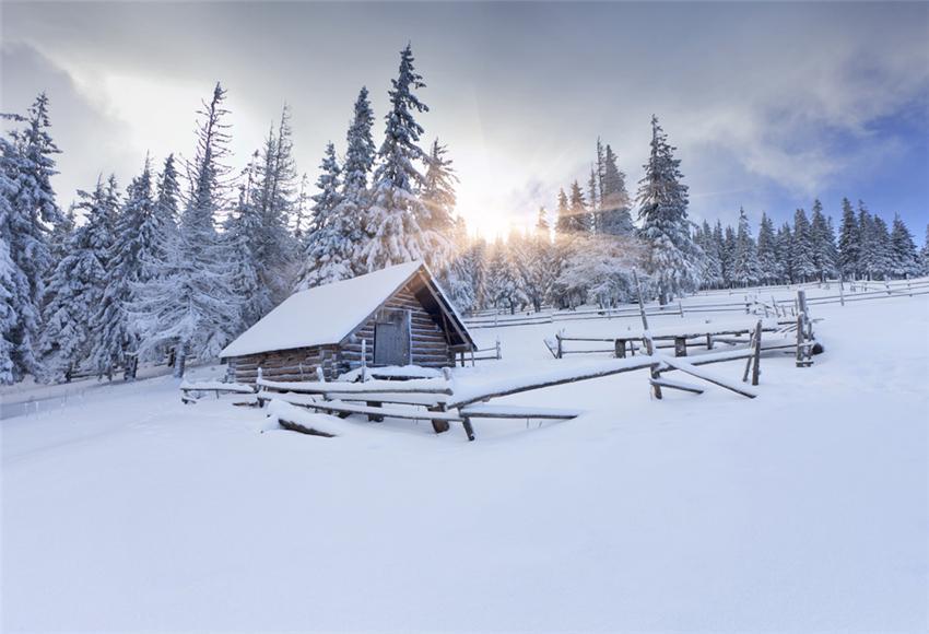 Ski Field Snow Backdrop for Winter