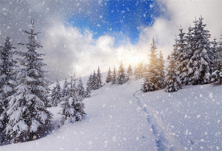 Blue Sky Snowflake Winter Photo Studio Backdrop