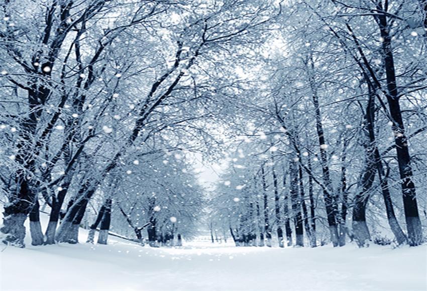 Winter Snowflake Tree Backdrop