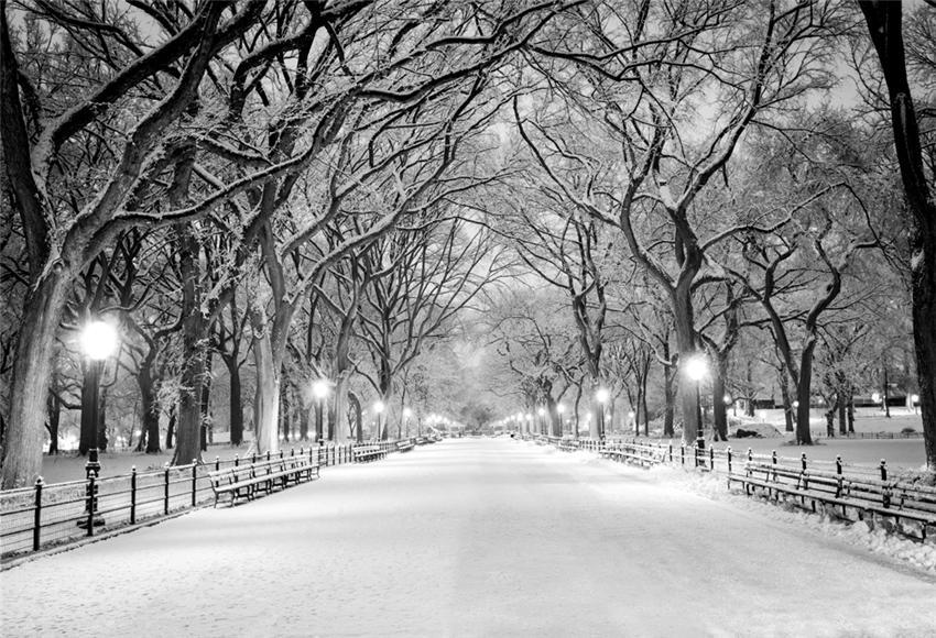 Winter snow Street Photo Studio Backdrop