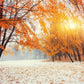 Fall Maple Snow Photography Backdrop