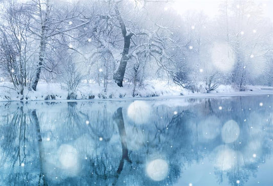 Winter Lake Snowflake Backdrop
